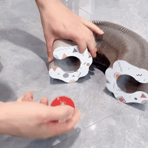 Como montar o brinquedo CatLoop